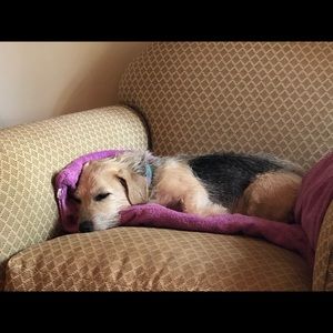 Meet your Posher, Amy l